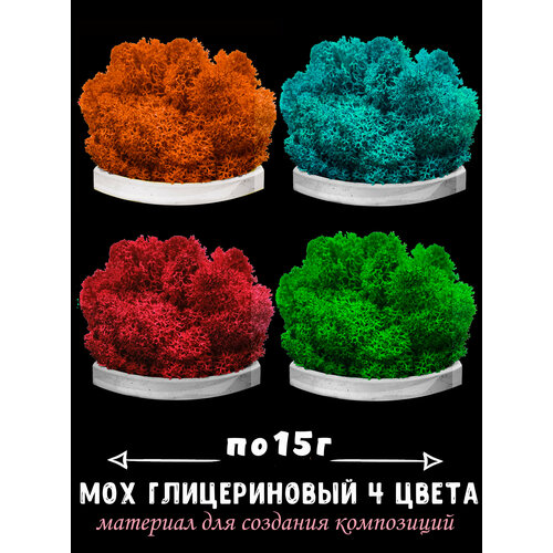 Мох ягель Blumsteri для декора 50г 550₽