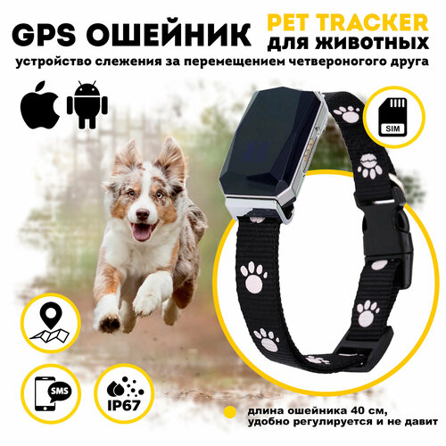 GPS ошейник для собак и кошек 4g gps ошейник для маленьких собак и кошек yuanbao g61 green
