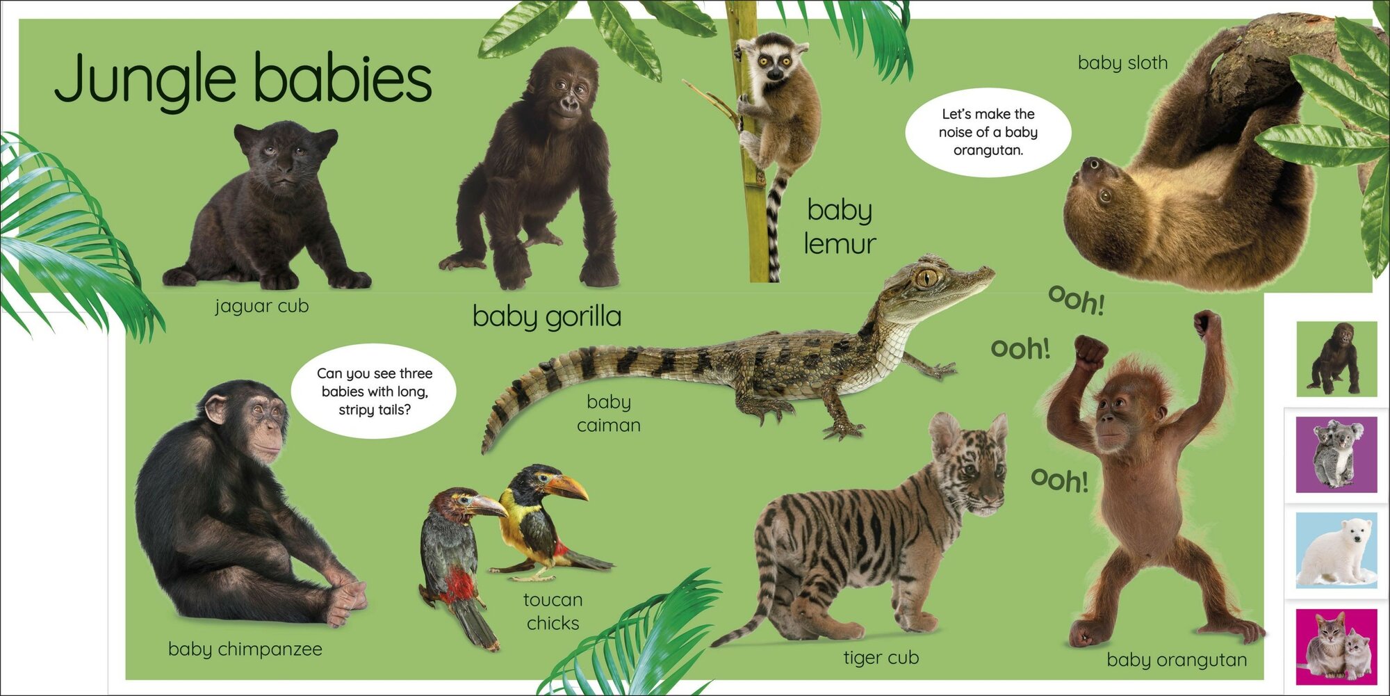 My First Baby Animals. Let's Find Our Favourites! - фото №2
