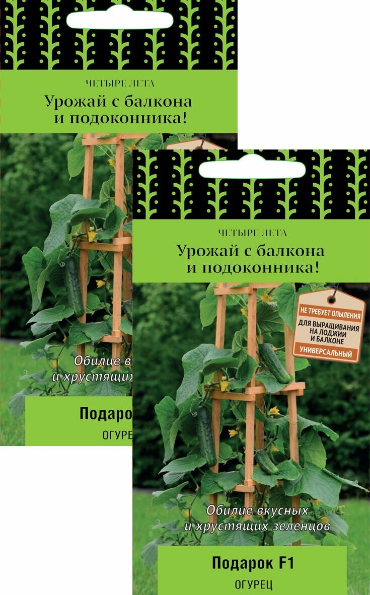 Семена Огурец Подарок F1 (5 семян) 2 пакета Агрофирма Поиск для балкона