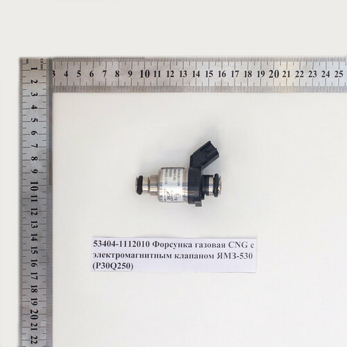 534041112010 Форсунка газовая CNG с электромагнитным клапаном ЯМЗ-530 P30Q250 20560₽