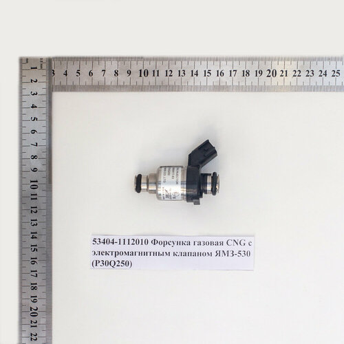 534041112010 Форсунка газовая CNG с электромагнитным клапаном ЯМЗ-530 (P30Q250)
