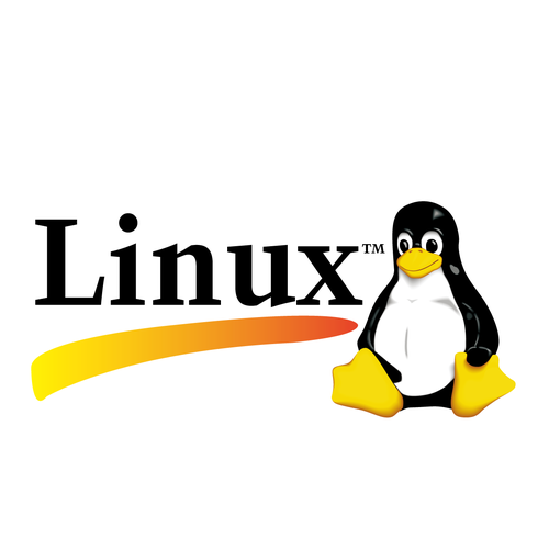 Загрузочная флешка Linux administrator linux advanced