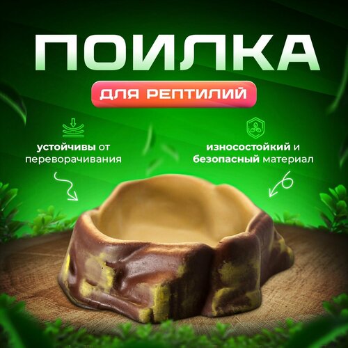 Поилка для террариума и рептилий Simple Zoo, 165х130х40 мм