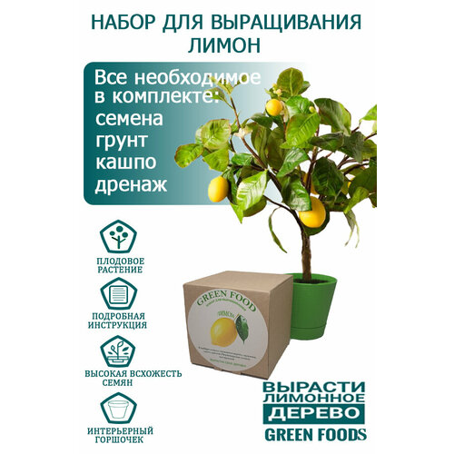 Домашний лимон, набор, лимонное дерево, Green food