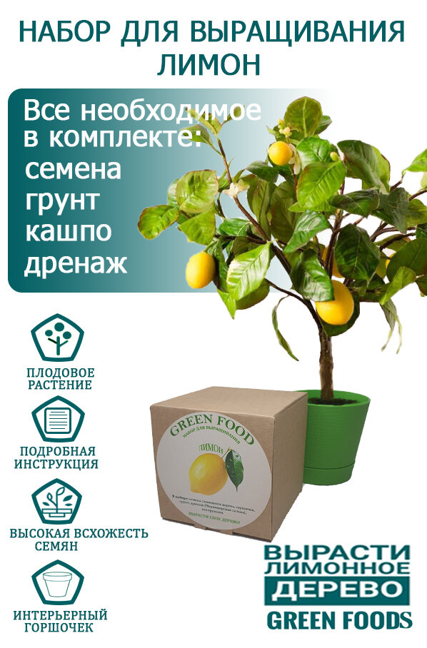 Домашний лимон, набор, лимонное дерево, Green food