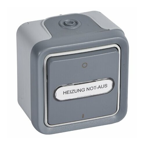 Выключатель 2x1-полюсный поверхностного монтажа, серый 69726 – Legrand Bticino – 069726 – 3245060697266