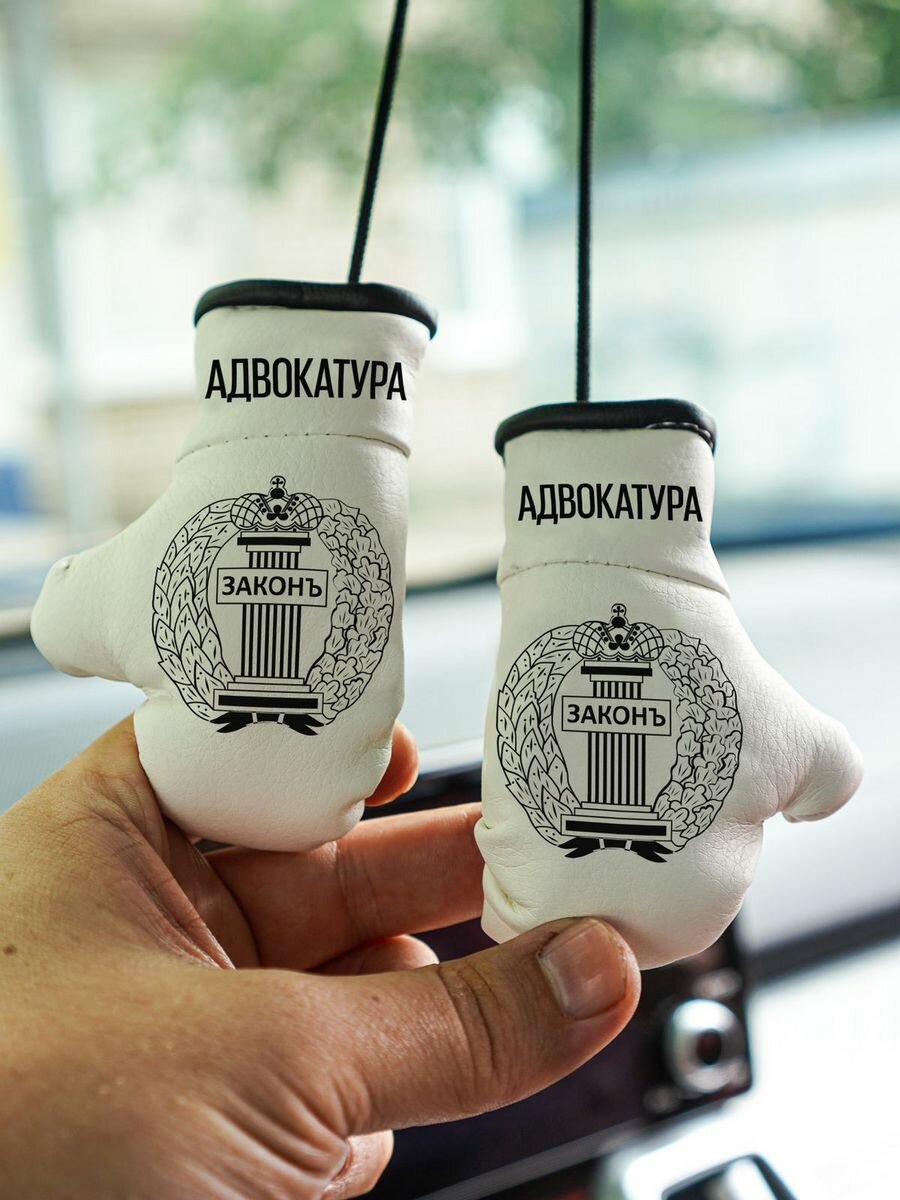 Подвеска в машину для адвоката