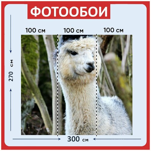 Фотообои Альпака белый чернить 300x270 см флизелиновыена стену 3980₽