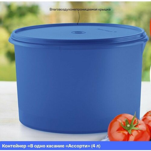 Емкость "Титан" 5 л синяя. Tupperware синий