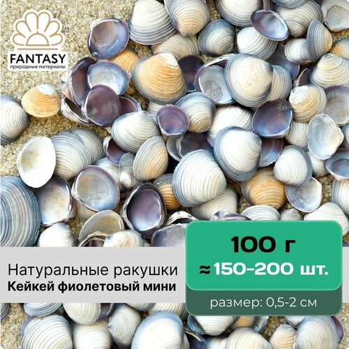 Натуральные морские ракушки FANTASY Кейкей фиолетовый мини размер - 05-2 см отборные набор весом 100 г 150-200 шт 320₽