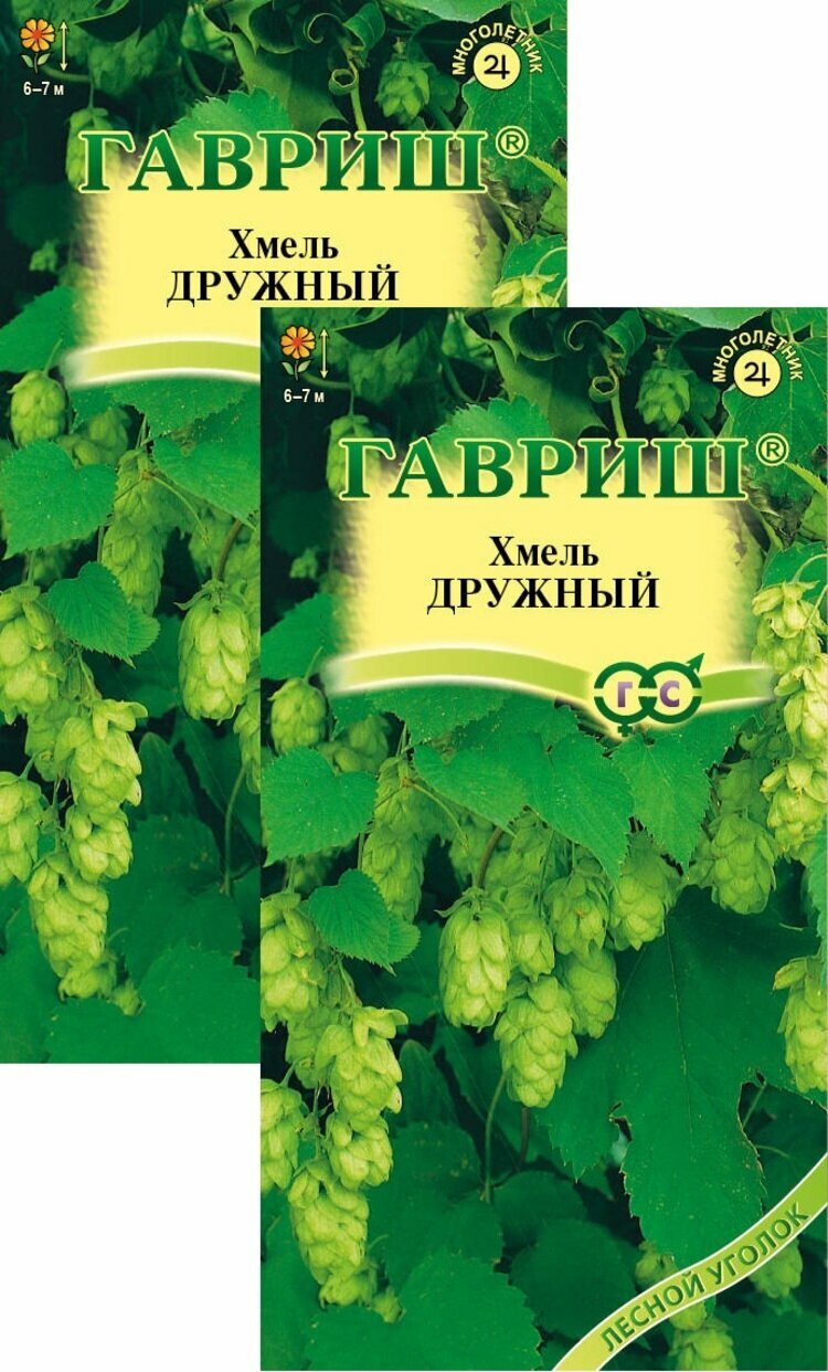 Семена Хмель Дружный (01 г) 2 пакета многолетняя лиана Гавриш