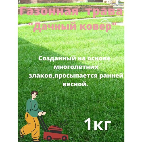 фото Газонная трава "дачный ковер 1 кг