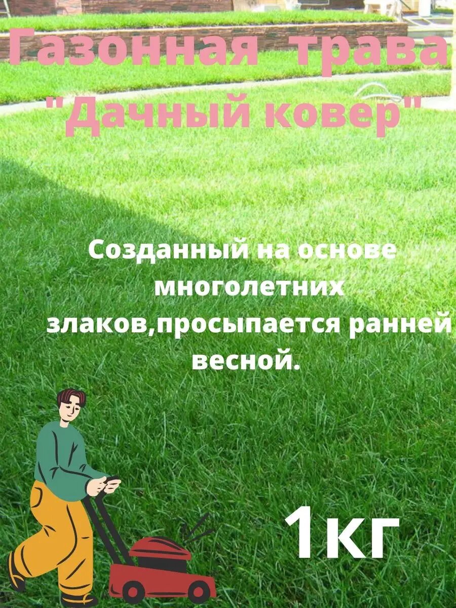 Газонная Трава 