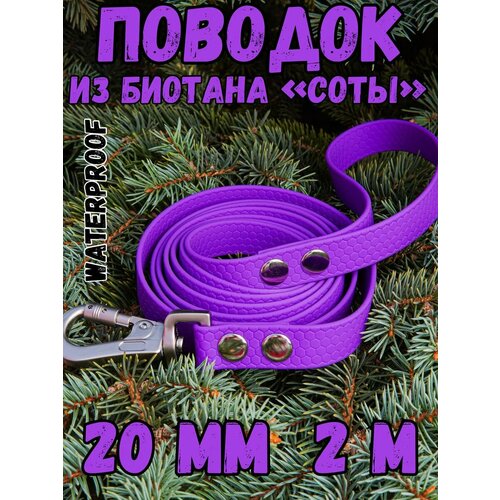 Поводок для собак средних и крупных пород биотановый, 20мм 2м DOG JOYS