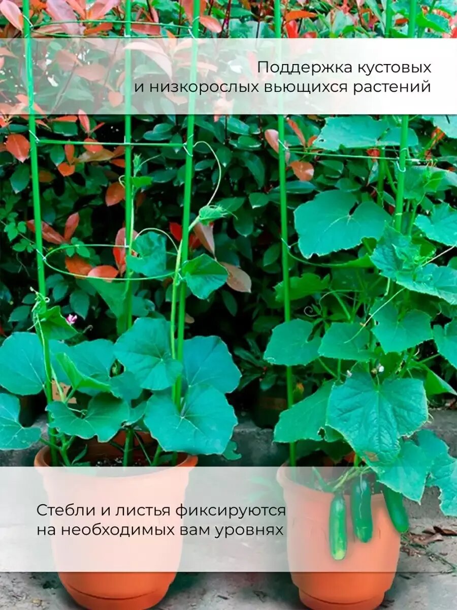Опора для растений комнатных цветов роз кустодержатель пион — фото 1