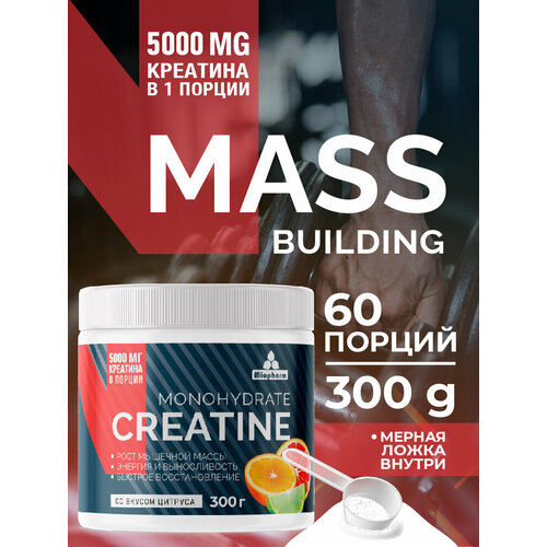 Креатин концентрат 300 гр со вкусом цитрус Миофарм Спортивное питание для увеличения мышечной массы и выносливости
