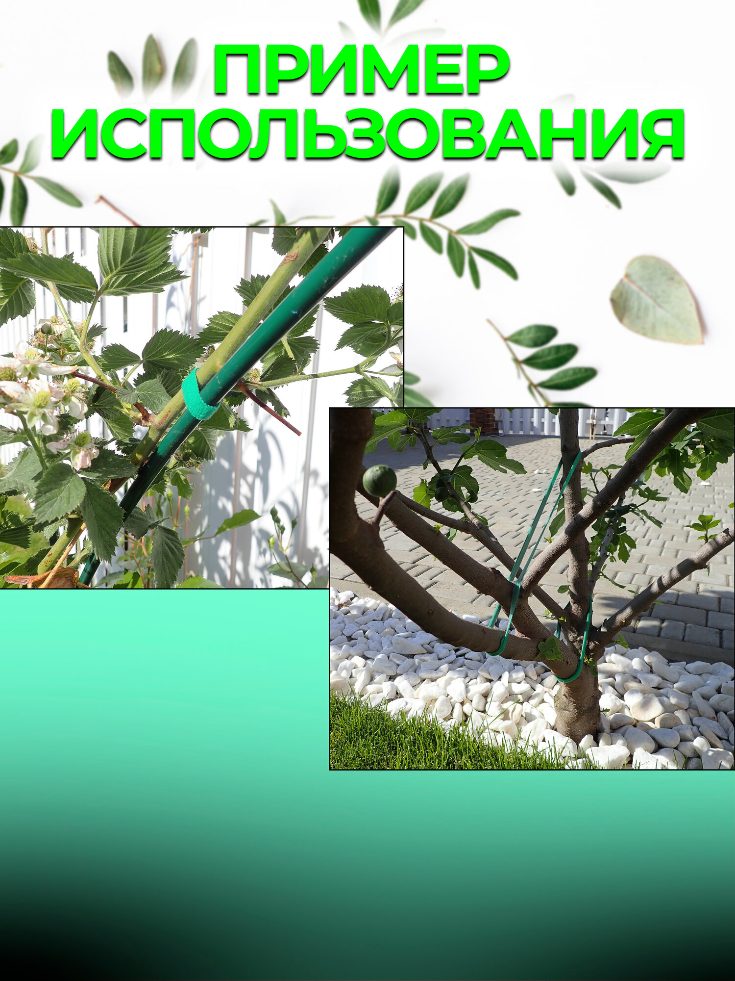 Подвязка для растений - многоразовая лента липучка, ширина 1 см, 3 рулона по 5 метров — фото 1