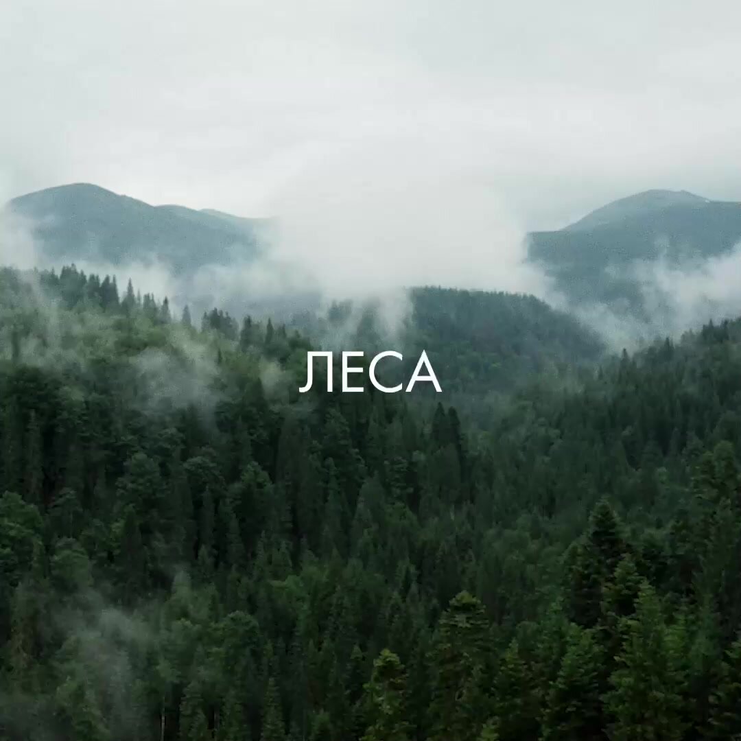 Мужское Черное мыло для тела и волос Natura Siberica Men с антибактериальным эффектом 500мл — фото 1