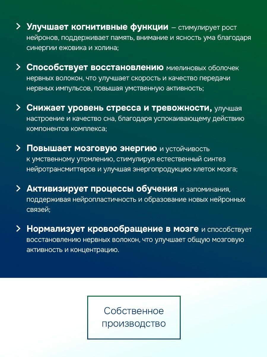 Бад Для Нервной Системы Экстракт Ежовик гребенчатый 1500мг (Lion's Mane) + Холин, витамины / бад для нервной системы, сна и энергии, 90 капсул