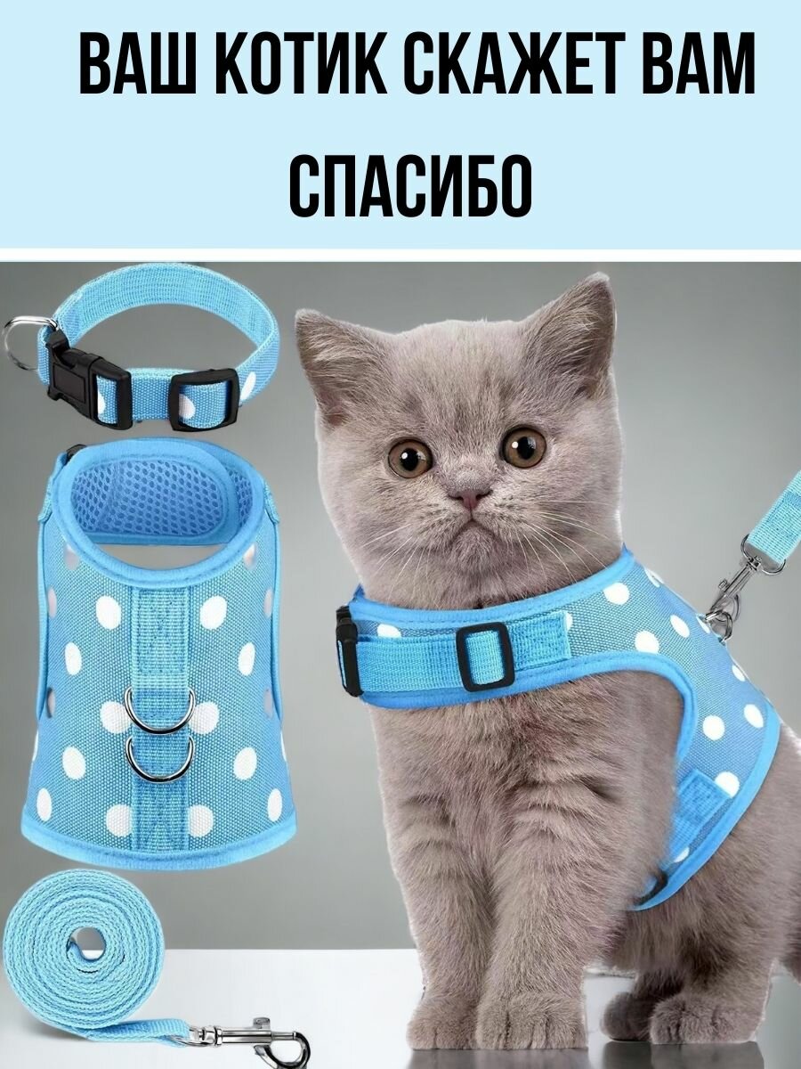 Шлейка для кошек, голубая XS - фотография № 9