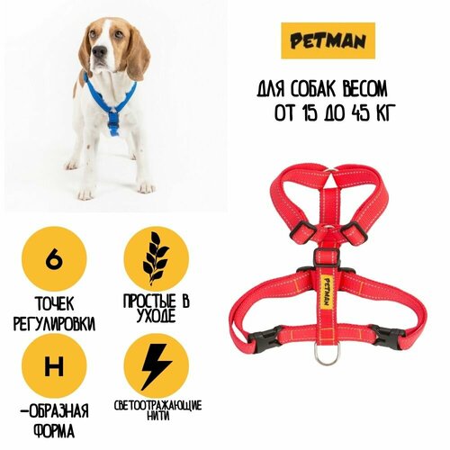 Регулируемая светоотражающая шлейка для собак до 40 кг 25 мм