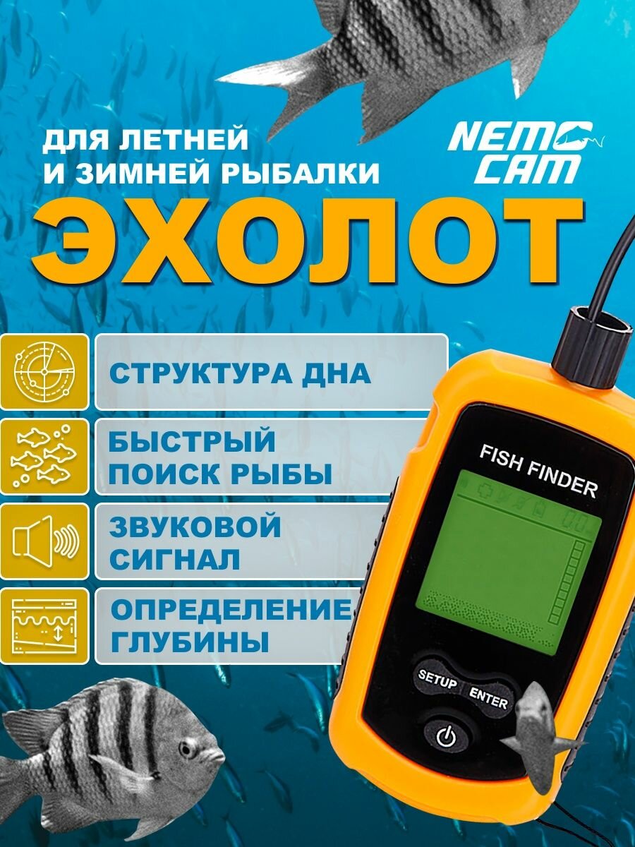 фото Эхолот для рыбалки