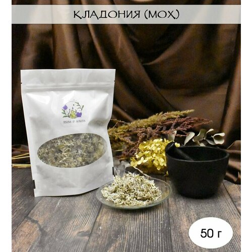 Кладония (мох) 50 г