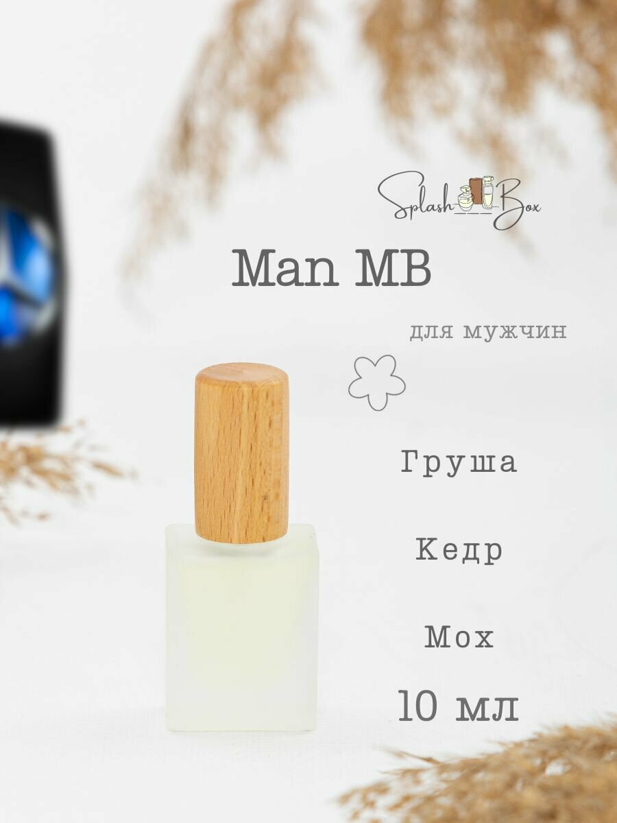 Man духи стойкие