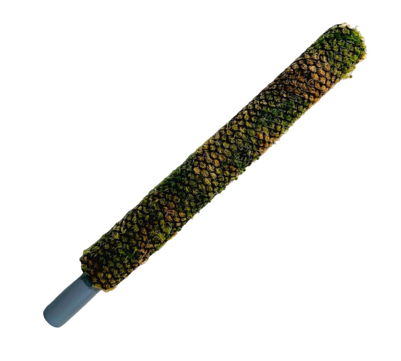 фото Тотем (опора) 60см Polera из живого мха для комнатных растений (лиан)