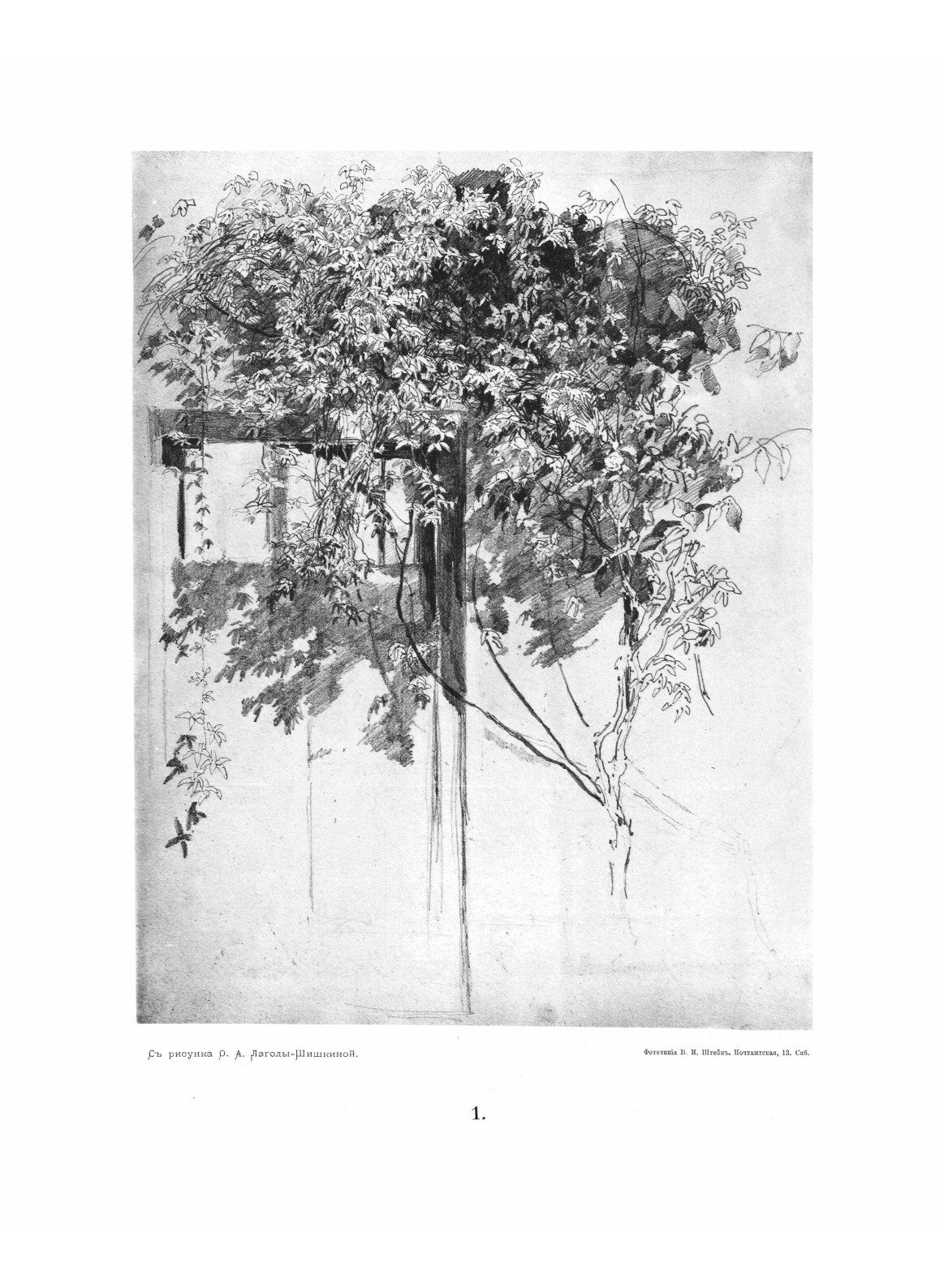 Книга Рисунки карандашом 1879-1880 гг - фото №5