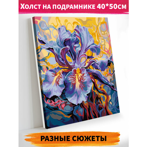 фото Картина по номерам на холсте 40х50 см изысканный цветок happy art