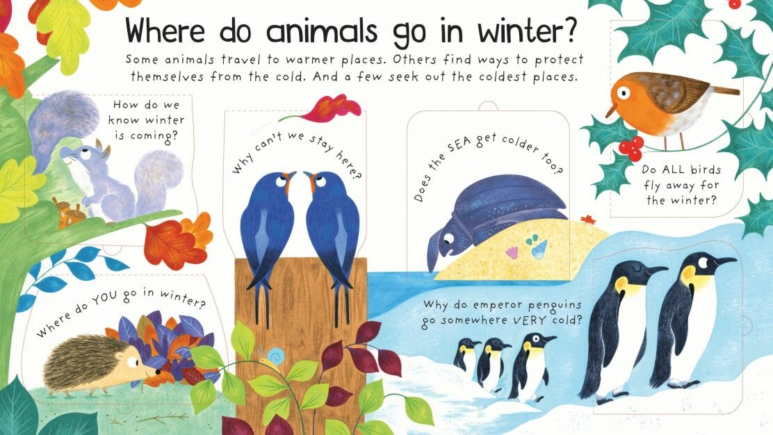 First Questions & Answers: Where Do Animals Go in Winter? (board book) - фото №2