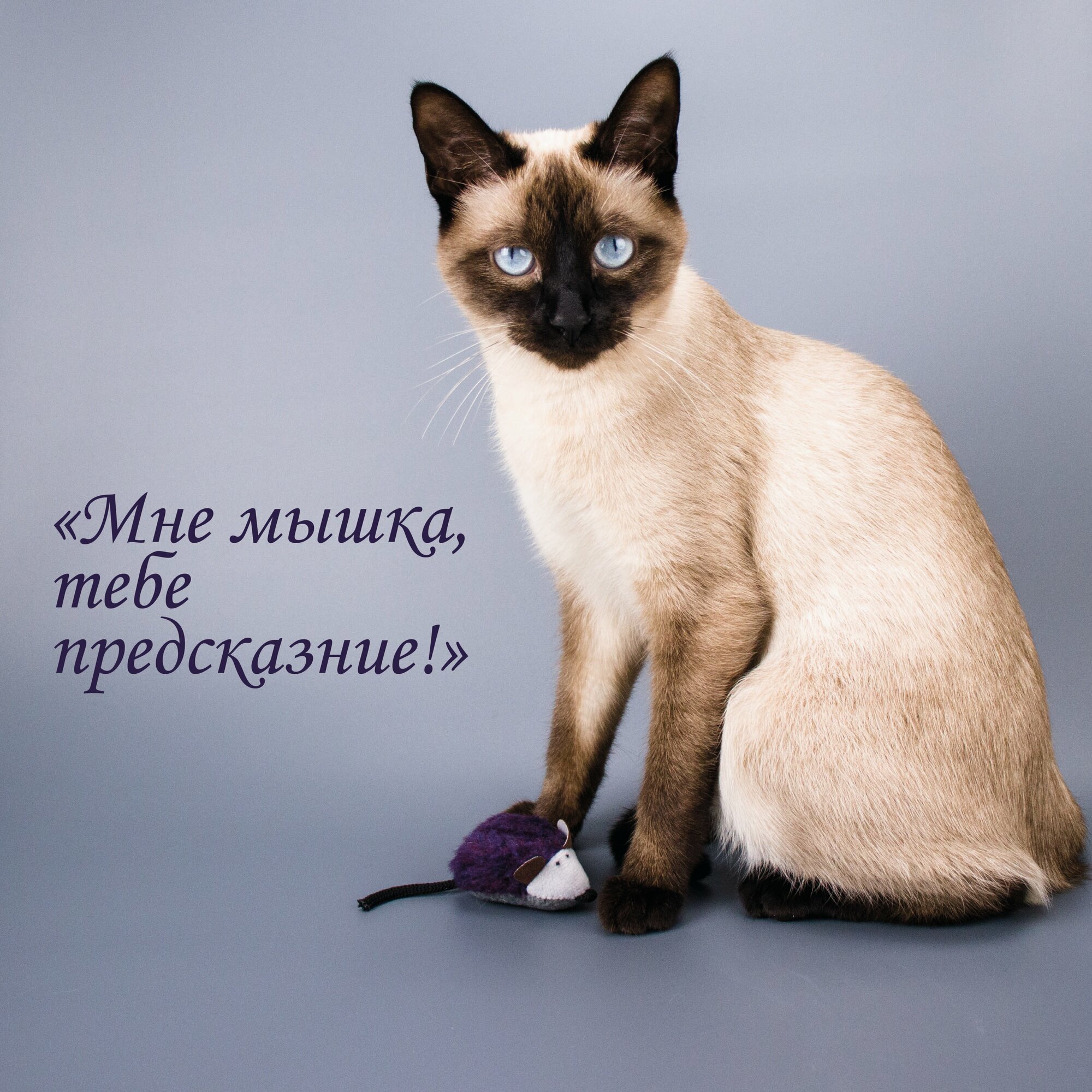 Мягкая игрушка-дразнилка "Мышь с кошачьей мятой" от бренда Зооэкспресс - фотография № 15