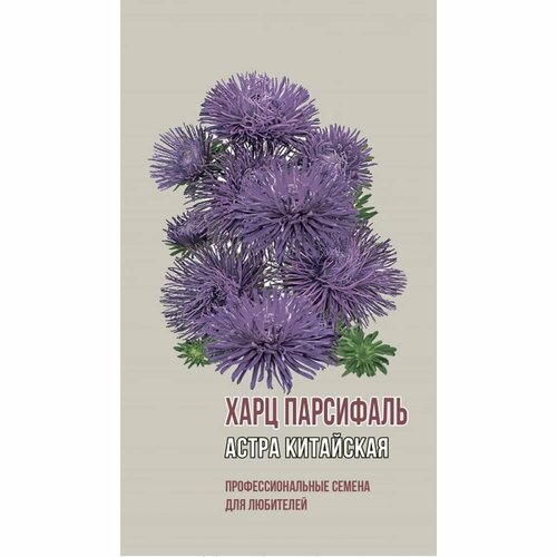 Семена Агрони Астра китайская харц парсифаль 1892 семена астра харц сеута