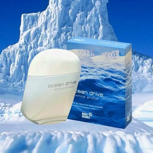 Alain Aregon Ocean Drive White Arctic Туалетная вода мужская, 100мл