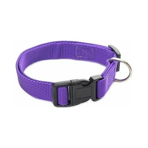 Дарэлл Ошейник для собак синтетический плотный фиолетовый, 20 мм х 31-45 см
