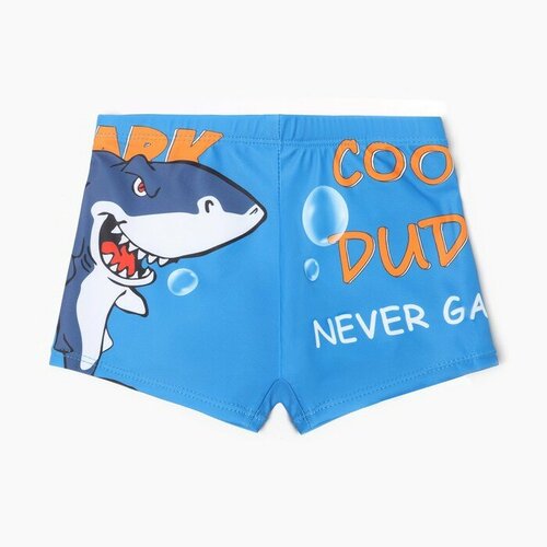 фото Плавки minaku, размер 10, синий