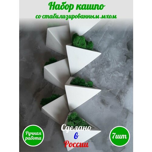 Декор для дома на стену, изделия из гипса со стабилизированным мхом, 7 штук, белые матовые белый