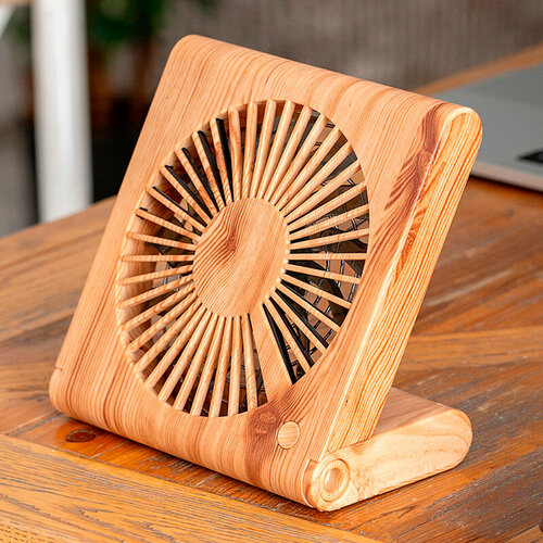 Вентилятор Bamboowood настольный для офиса и дома 120000₽