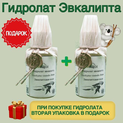 Гидролат эвкалипта для лица и тела MagOil, 100 мл 1+1