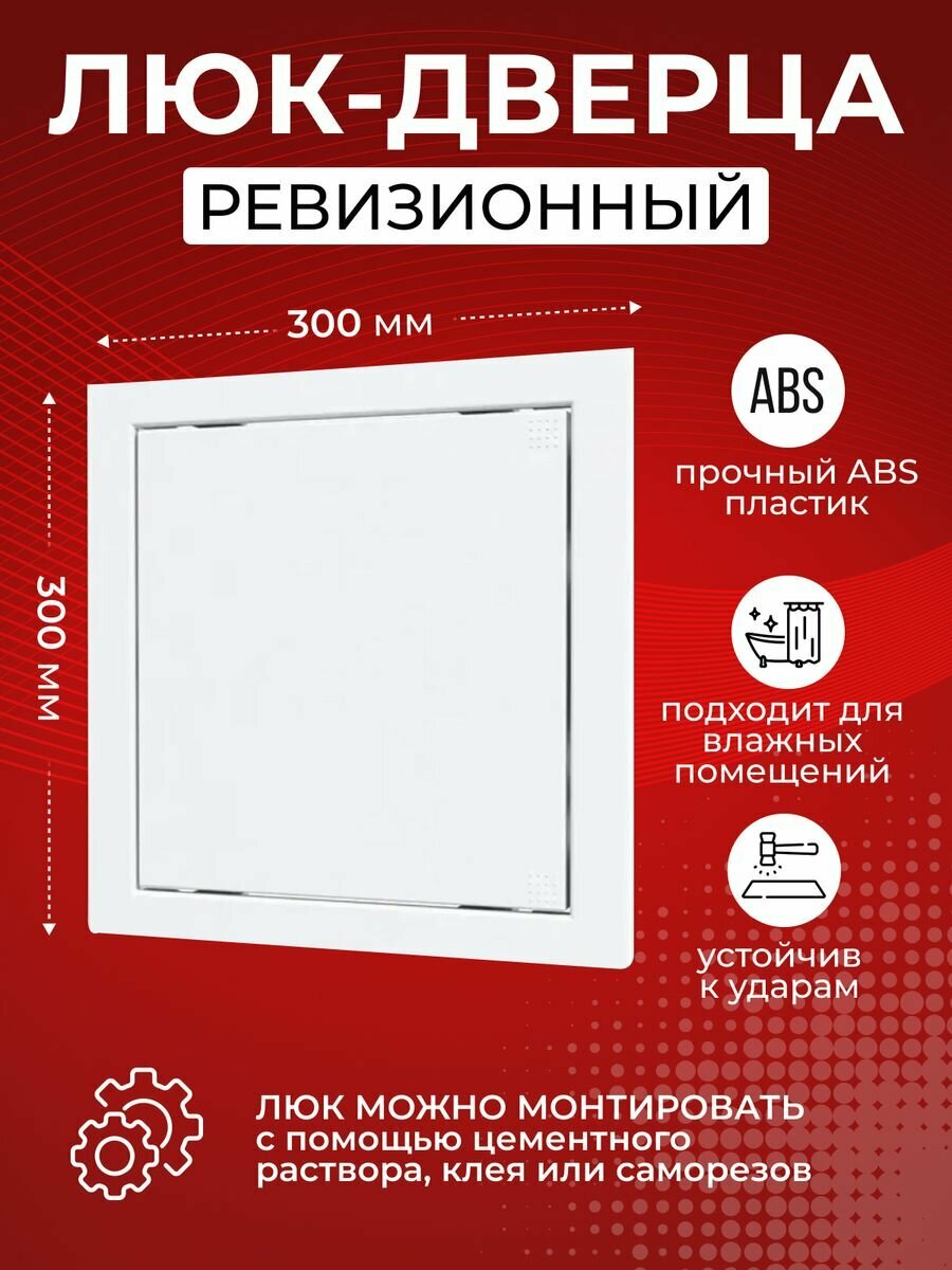 фото Люк ревизионный 30x30