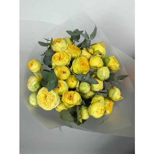 Букет из 9 кустовых желтых роз "Пиони Баблз" с эвкалиптом - доставка цветов на дом