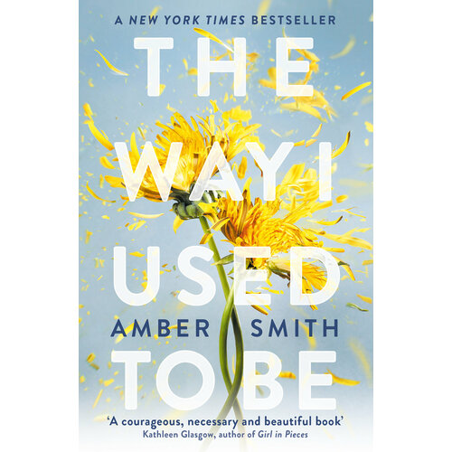 The Way I Used to Be | Smith Amber