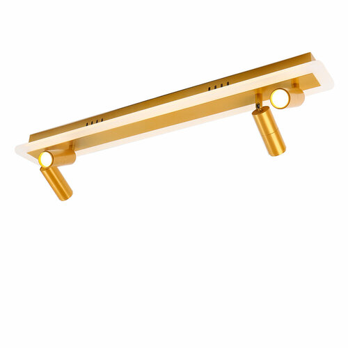 Светильник потолочный Arte Tommy A2607PL-30GO 4278₽