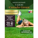 Газонная трава семена, универсальные 20 кг Канада Грин 