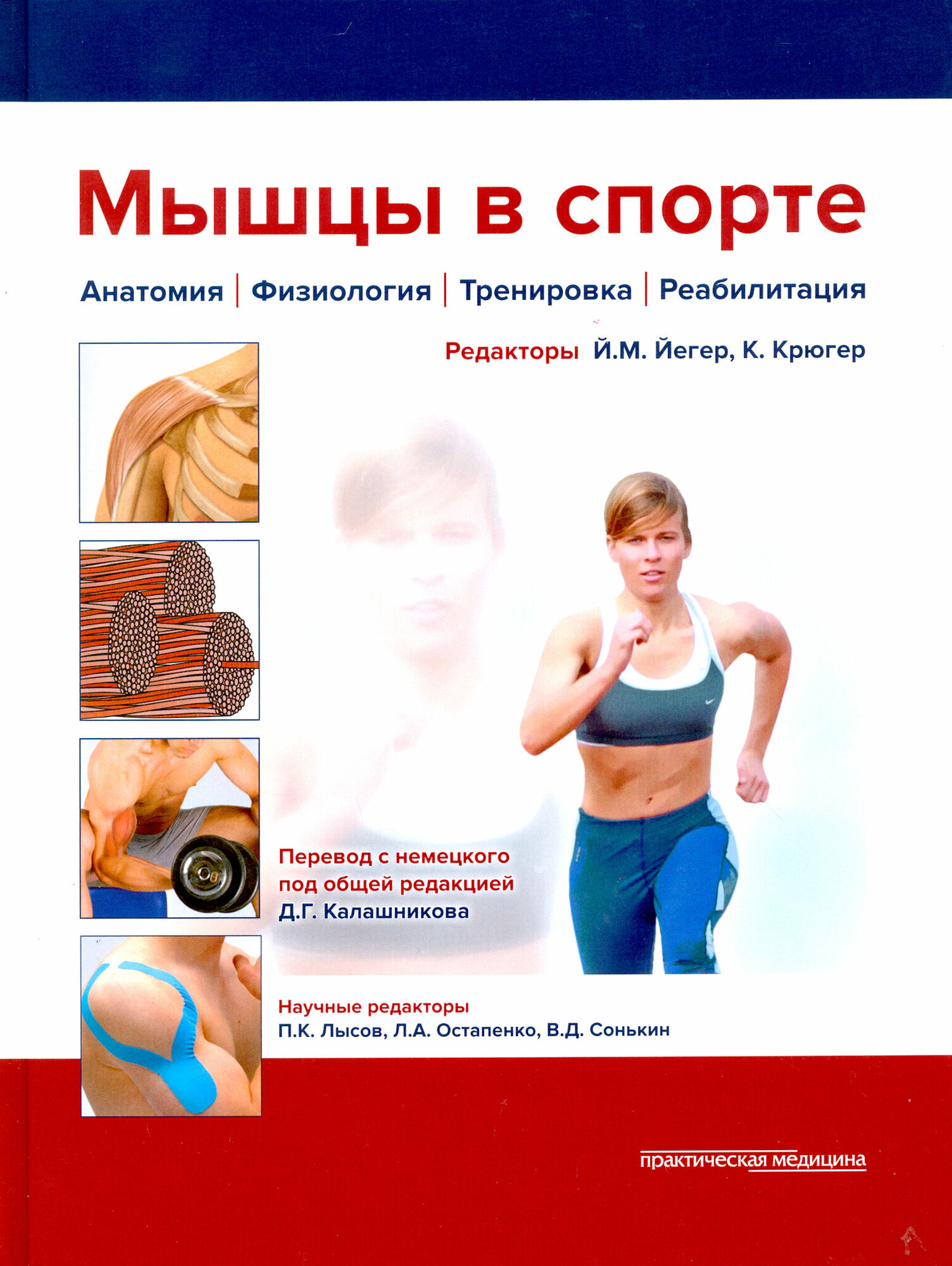 Мышцы в спорте. Анатомия. Физиология. Тренировка. Реабилитация - фото №5