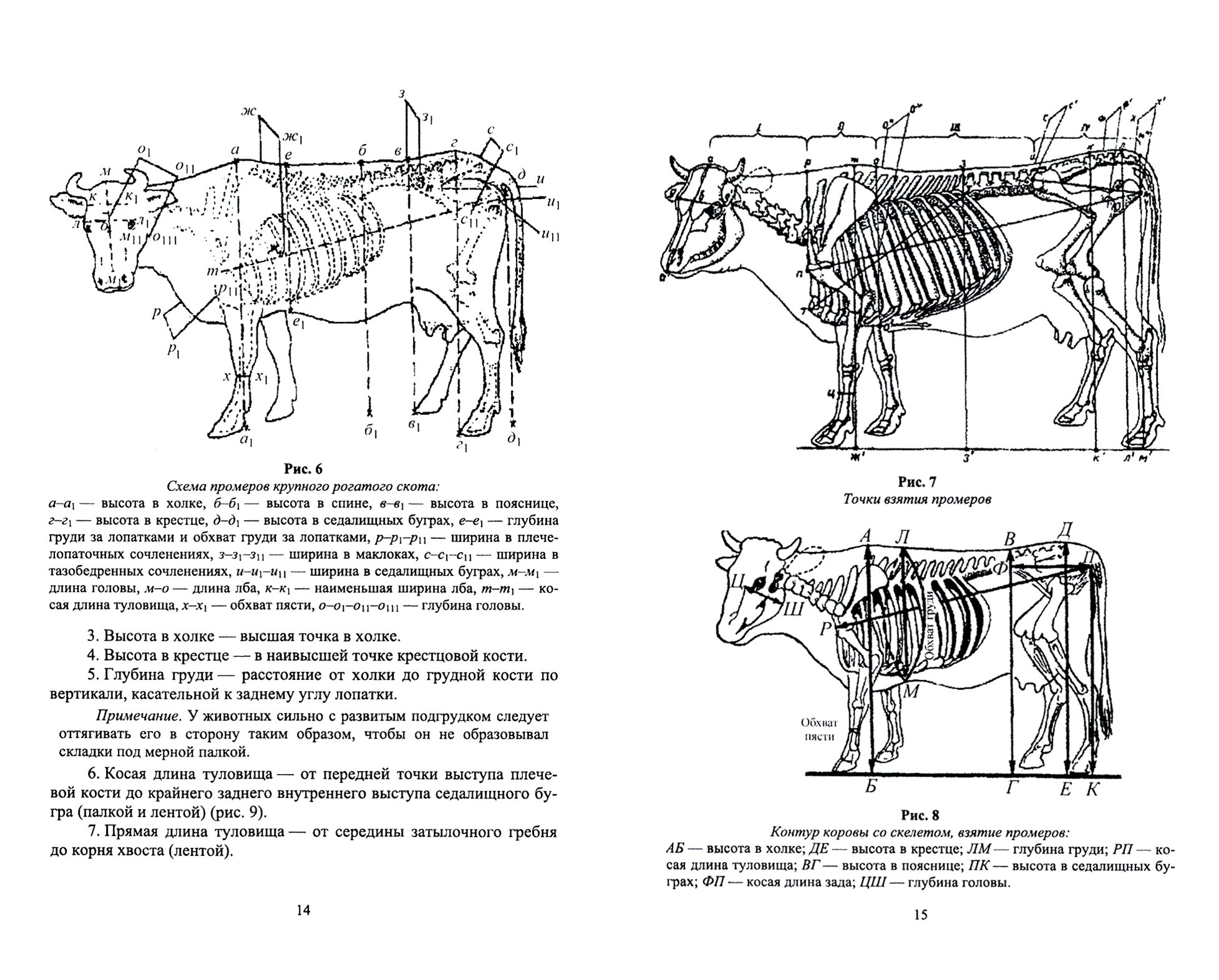 Организация и проведение измерений крупного рогатого скота. Учебное пособие - фото №2