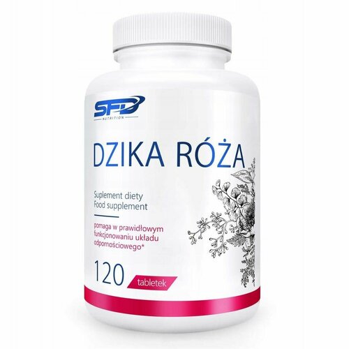 DZIKA ROZA 120 tab