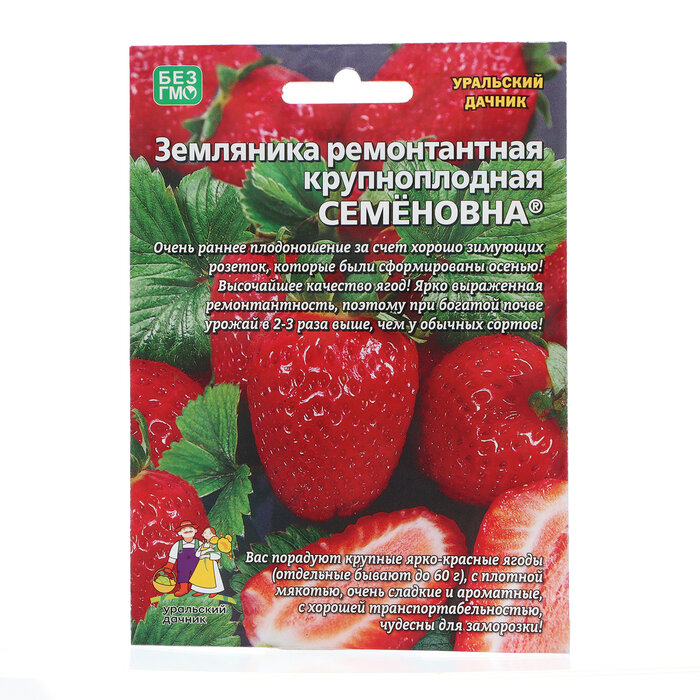 Семена Земляника "Семёновна" , 10 шт 10287575